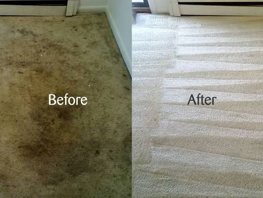Before & after carpet deep cleaning in Gauteng