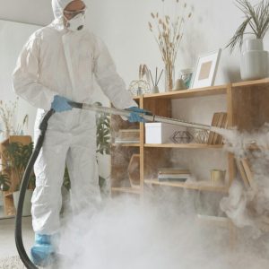 Professional cleaning services in Gauteng by Just Cleaning